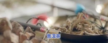 熟普洱茶性味归经及功效全解：属性、禁忌与作用