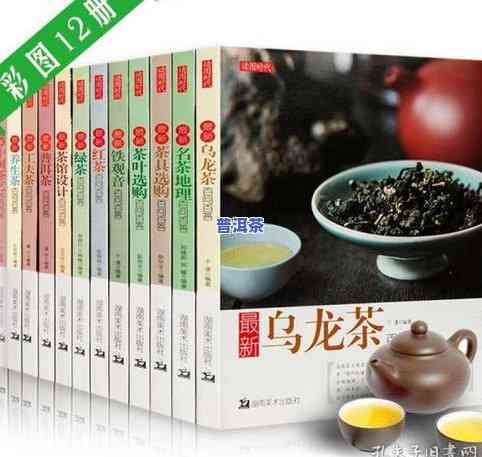 百年普洱茶价格全解析：多少钱一斤、一盒、一瓶？立即查询！