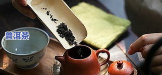 梅子青普洱茶怎样泡才好喝-梅子青普洱茶怎样泡才好喝呢