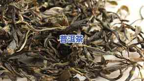 快哉古树普洱茶-快哉古树普洱茶生茶260g