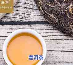 贺松普洱茶价格多少钱一斤-贺松普洱茶价格多少钱一斤啊