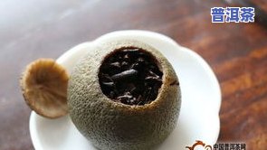 普洱茶除虫-普洱茶防虫