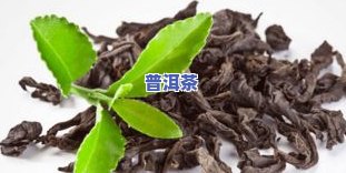 普洱茶除虫-普洱茶防虫