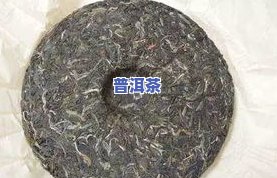 普洱茶发霉了怎么办？还能喝吗？