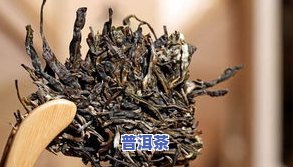 普洱茶有的-普洱茶有的发霉了怎么办