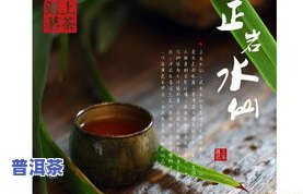 寻找普洱茶：全面了解普洱茶采购渠道、供应商及功效