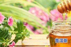 喝普洱茶的更佳时段：何时饮用最有益健康、有助于减肥和吸收？