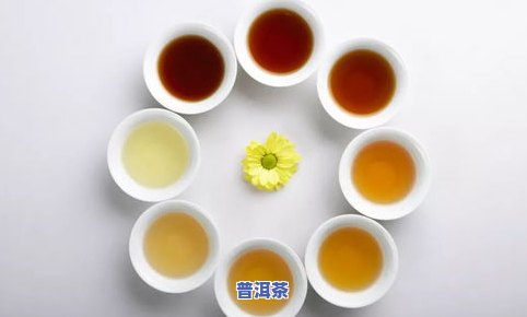 普洱茶属于哪一类的茶？探讨其类别归属