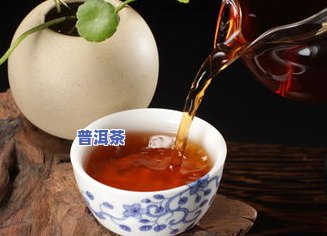 普洱茶怎么醒茶-普洱茶怎么醒茶更好