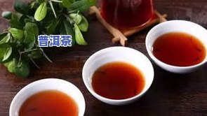 普洱茶野生茶的优缺点解析：特点与评价