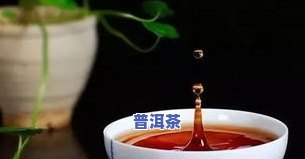 岩石上普洱茶的更佳冲泡方法与口感探索