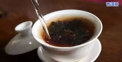 岩石上的普洱茶：如何冲泡出更佳口感？普洱岩韵，体验独特风味