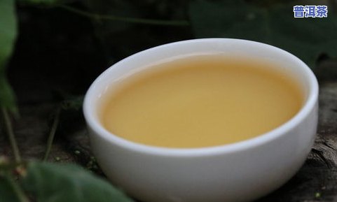 岩石上的普洱茶：如何品鉴其独特风味？