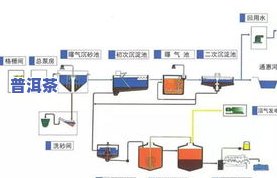 普洱茶生产车间：图片与工艺流程全览，揭示茶叶制作全过程