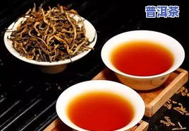 绿叶红汤普洱茶价格表图大全：详解绿叶红汤及红镶边茶叶品种