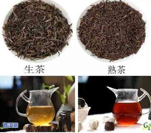 墨羽普洱茶：价格、图片与功效全解析