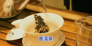 墨羽普洱茶：价格、图片与功效全解析