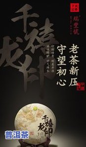 普洱茶十大匠心茶人：揭秘制茶大师的背后故事与排名