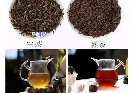 普洱茶加工工艺流程视频，揭秘普洱茶加工工艺流程：高清视频详解