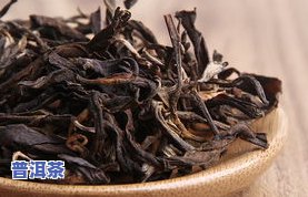 老同志普洱茶9978，回味经典：品味老同志普洱茶9978的特别韵味