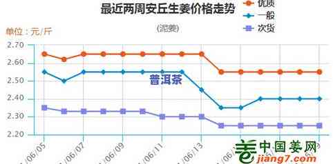 普洱茶市场价多少钱一斤：最新行情与趋势分析