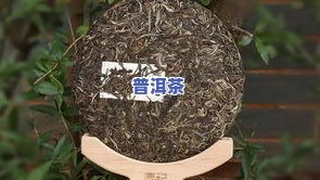 石斛普洱茶生产厂家排名-石斛普洱茶生产厂家排名前十