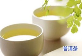 普洱茶减肥效果：全面解析其功效与绿茶比较