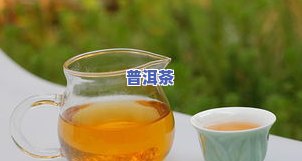 普洱茶减肥效果：全面解析其功效与绿茶比较