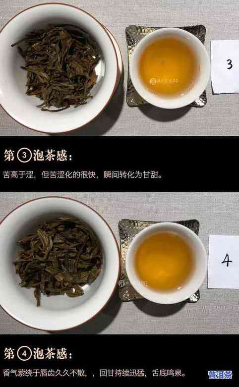 普洱茶评比视频-普洱茶评比视频大全