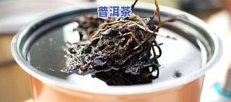 夏天清热解的茶品推荐