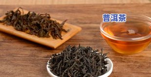 云南普洱茶著名茶厂品种大全：详细介绍及排名