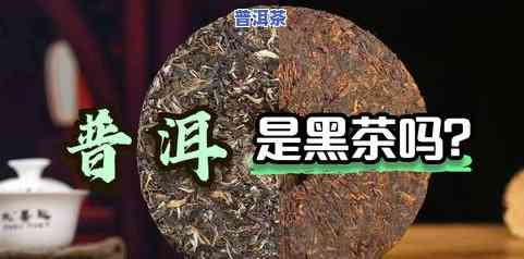 讲解一下普洱茶：特点、特征及全面了解