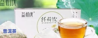 去湿气去肝火的茶叶是什么？推荐几款有效饮品