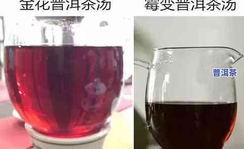 多少价位的普洱茶才值得饮用？价格对口感的影响解析