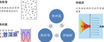 普洱茶：定义、产地、种类与制作方式全解析