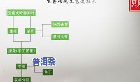 普洱茶：定义、产地、种类与制作方式全解析