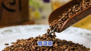 全面了解普通荞麦茶：功效、作用、禁忌与种类