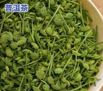 青海有什么特产茶叶？揭秘青海特色茶叶及其品质