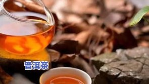 上海哪里有普洱茶卖的多-上海普洱茶专卖店