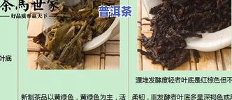 章朗古树普洱茶口感全解析：生茶、价格、古寨一网打尽，只需357克！