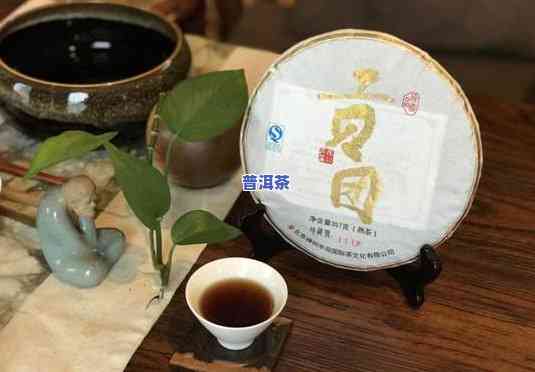 云南普洱茶乡：探索美食与茶文化之旅