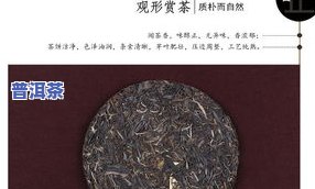 章朗古树普洱茶-章朗古树普洱茶生茶