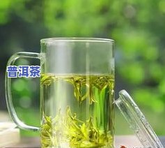 普洱茶能不能泡绿茶喝呢-普洱茶能不能泡绿茶喝呢女生