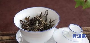 普洱茶叶怎么喝：选择合适的茶具、水温和冲泡时间，更好先醒茶，口感更佳。效果更好的是早上空腹饮用，有助于消化和降脂。