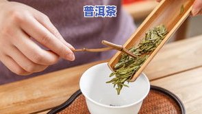 瓦龙古树茶价格、口感特点与图片全解析