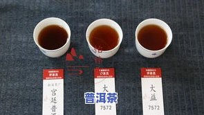 普洱茶叶能泡几次？次数过多有何影响？