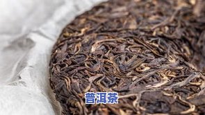 普洱茶几十块钱一斤的是什么茶？品质如何？