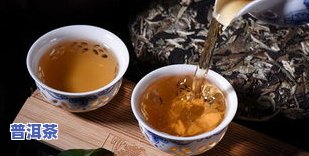 吉林富硒普洱茶多少钱-吉林富硒普洱茶多少钱一斤