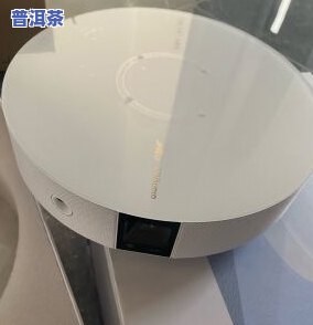 寻道普洱茶怎么样？用户分享口感、价格与评价