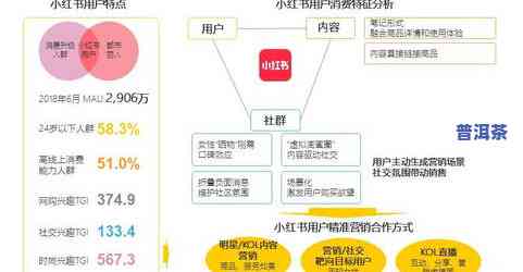 查理朴百科：全面了解查理·D的个人简介、官方网站与相关资讯